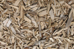 biomass boilers Slapewath